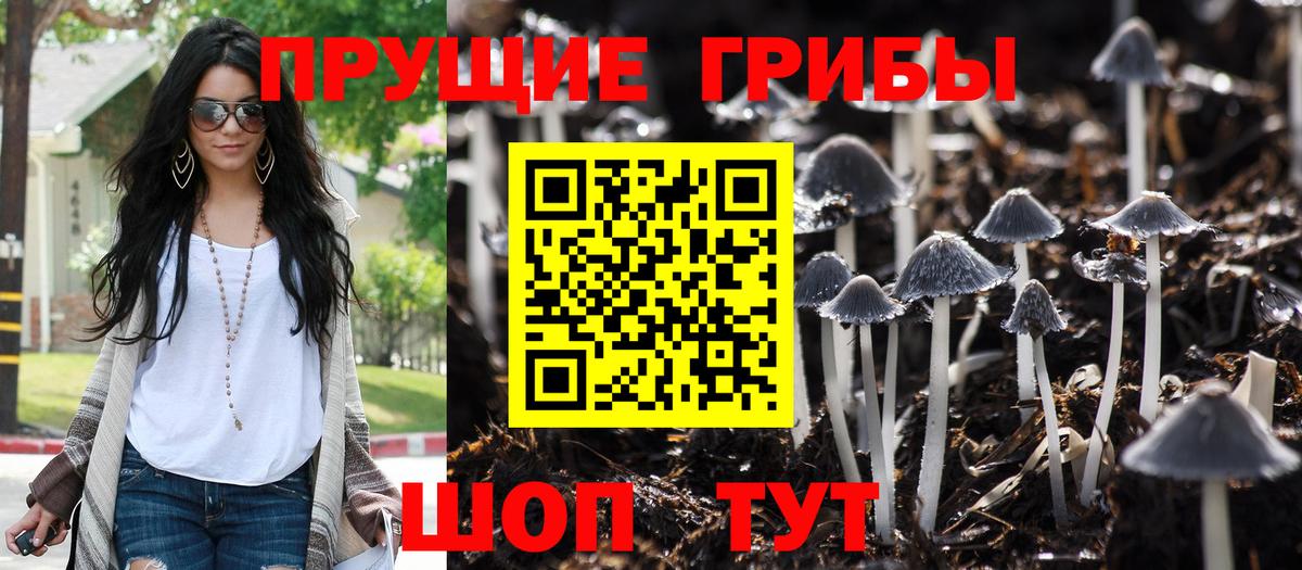 Псилоцибиновые грибы Psilocybe  Вход с VPN  Галлюциногенные грибы мицелий  Стрежевой 